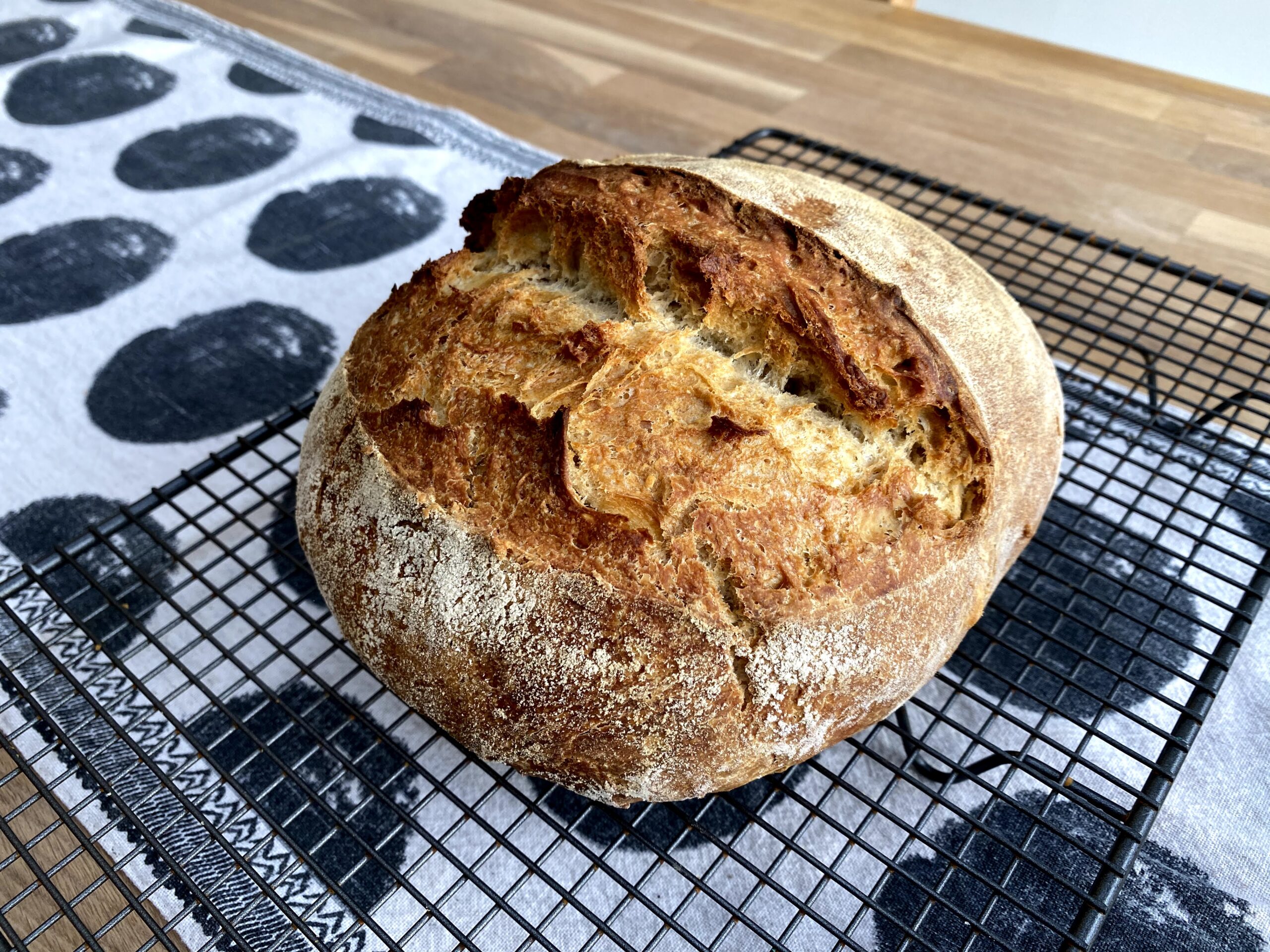 sourdough-starter-not-rising-the-great-bake