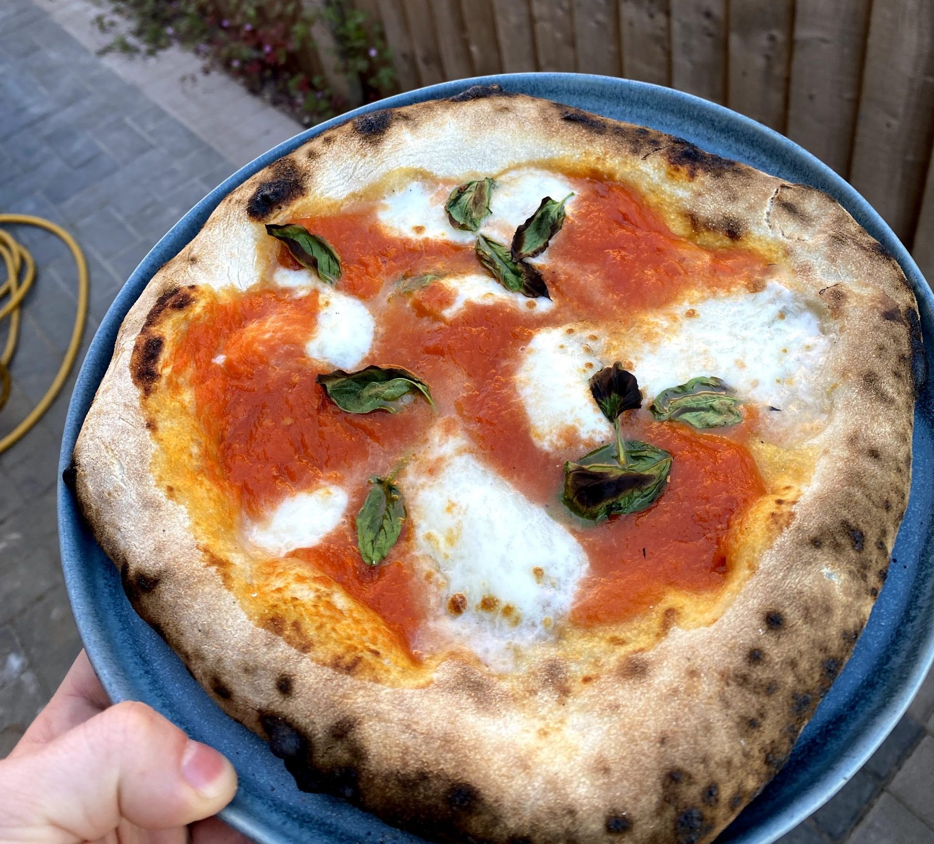 How to Knead Pizza Dough The Great Bake